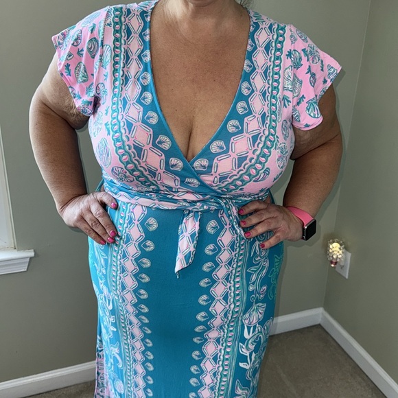 Elegant Blue and Pink Lilly Pulitzer Maxi Dress - Picture 4 of 6